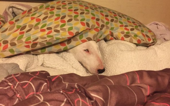 KakaoTalk_Photo_2018-02-28-18-02-34